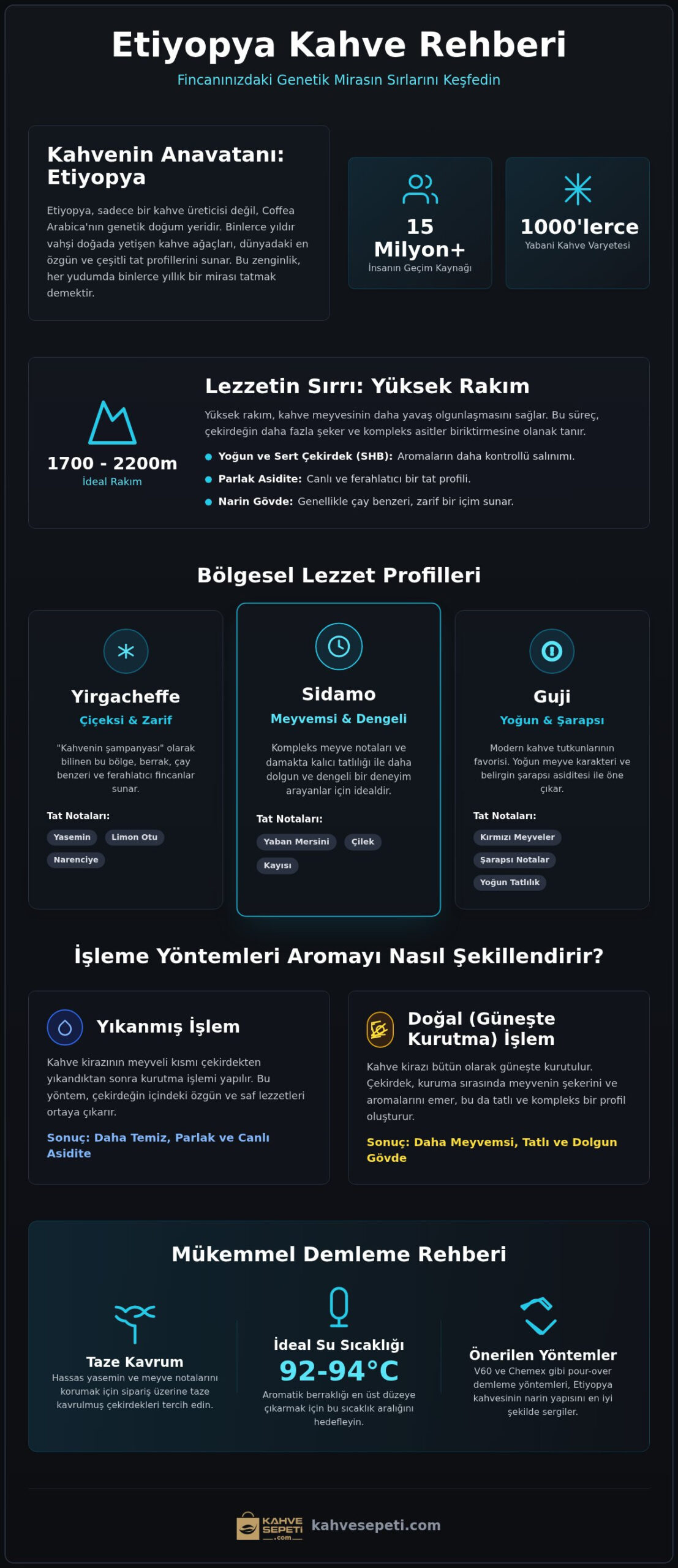 Etiyopya Kahve Çekirdeği Rehberi: Aromalar, Bölgeler ve Demleme Sırları (2026)